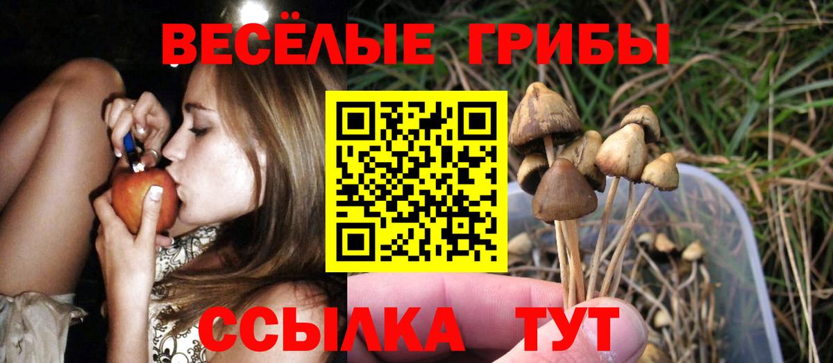 Ипатово  Галлюциногенные грибы Psilocybine cubensis  Вход с VPN 